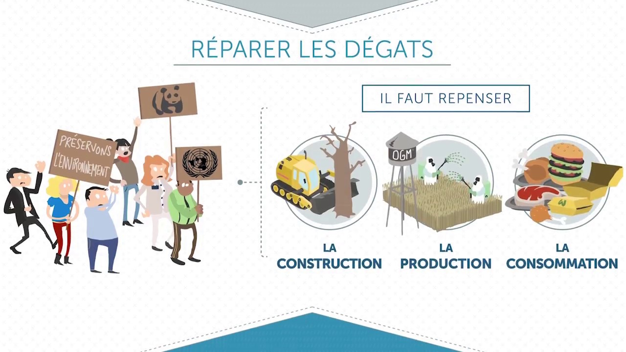 Disparition des espèces : la planète en danger