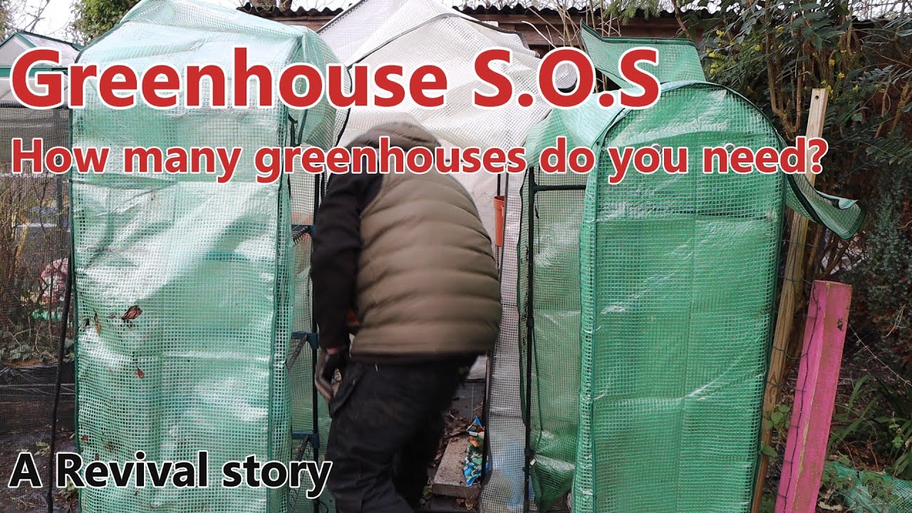 The Green houses. (A Revival story)