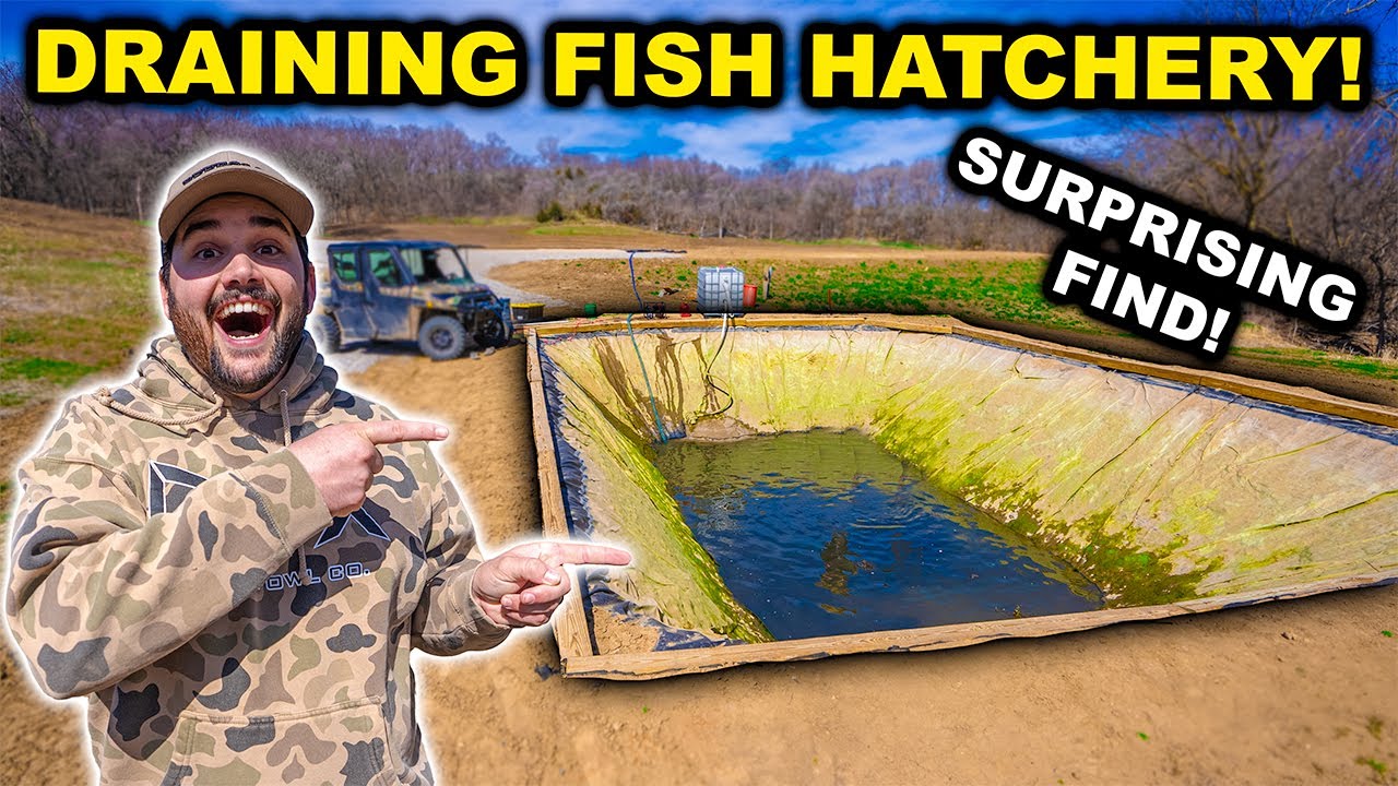 DRAINING My Backyard FISH HATCHERY!!! (Surprising Find)