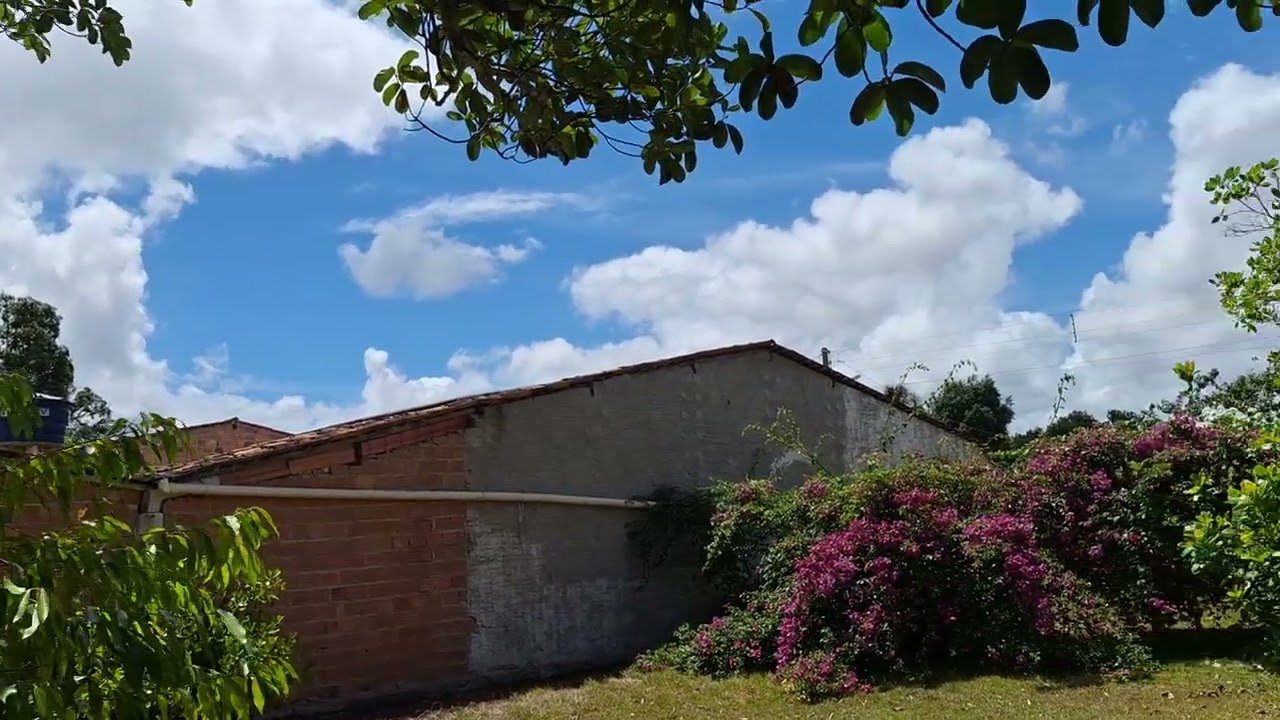 E O DEUS DA ESPERANÇA VOS ENCHA DE GOZO E PAZ NO  VOSSO CRER,PARA QUE SEJAM RICOS NO ESPÍRITO SANTO.