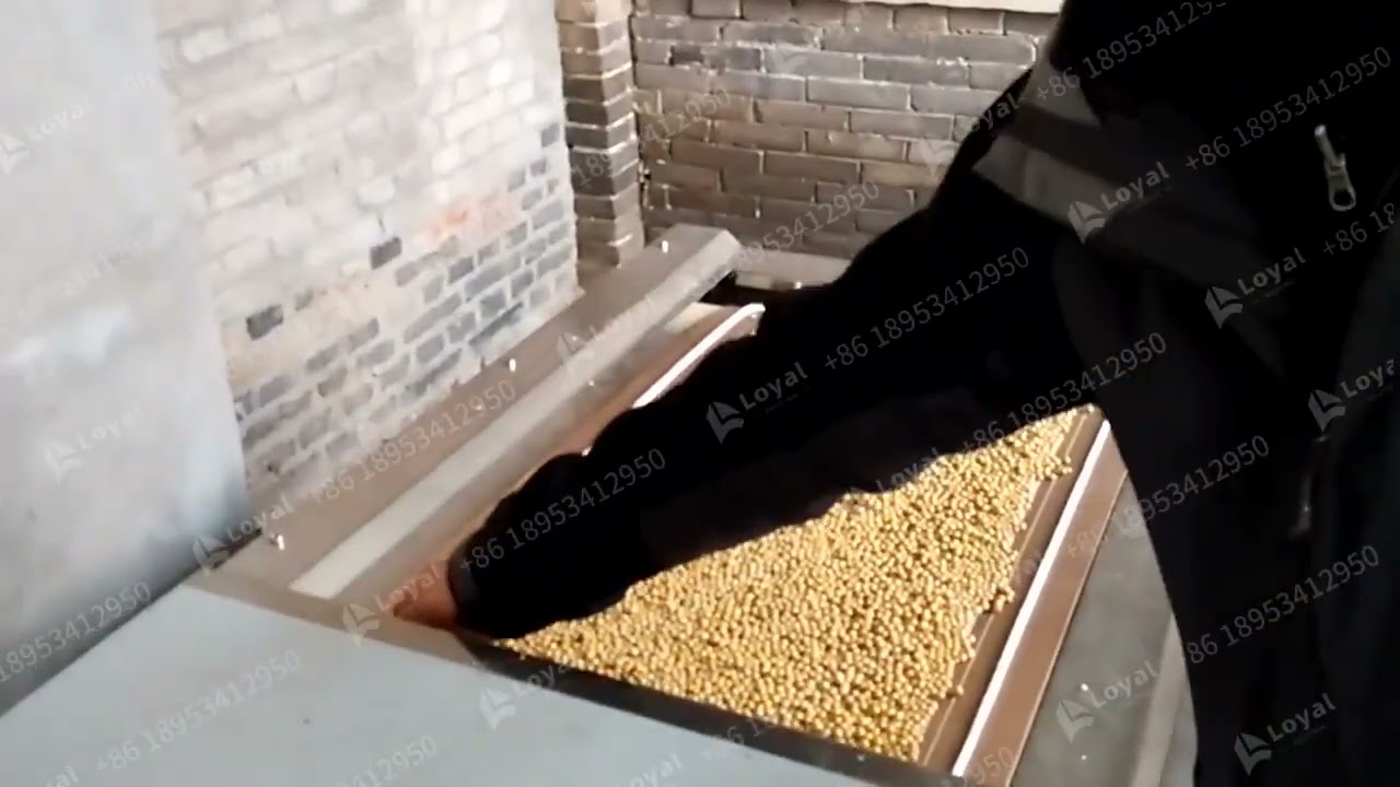 22 What temperature do you roast soybeans at?coffee cocoa bean roasting dryer machine丨soybeans dryer