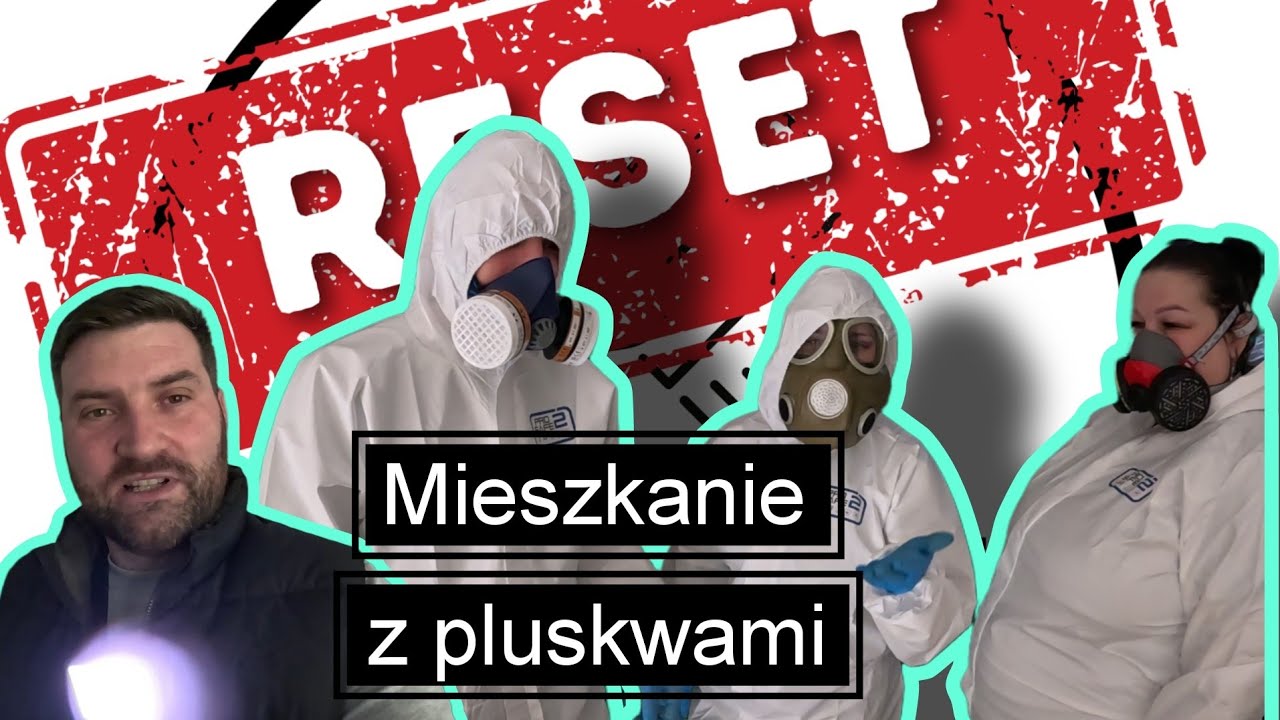 RESET:  Mieszkanie pełne pluskiew