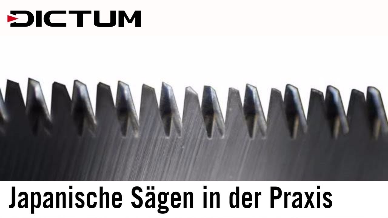 Japans&auml;gen in der Praxis - Arbeiten mit Zugs&auml;gen (aktualisiert 2019)