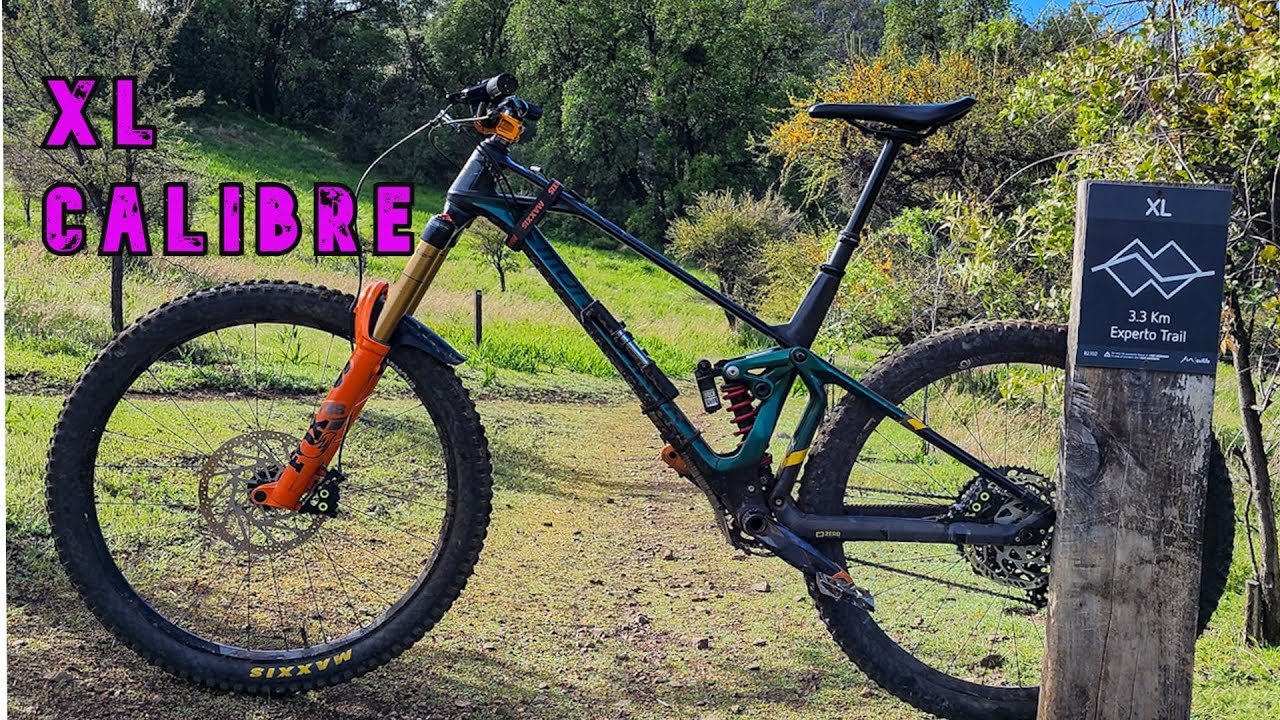El Durazno | XL - Calibre12