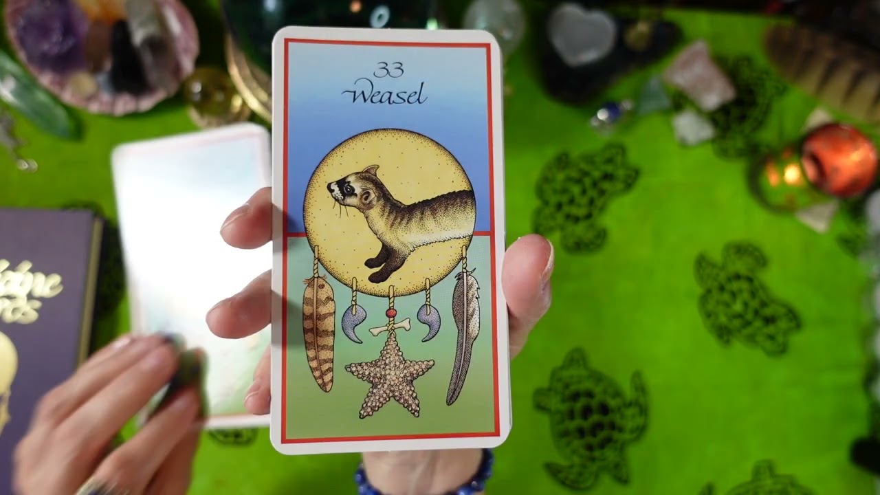MEDICINE CARDS -Review- FOR GUIDANCE, INSPIRATION AND HELP IN FINDING ANSWERS TO LIFE'S QUESTIONS