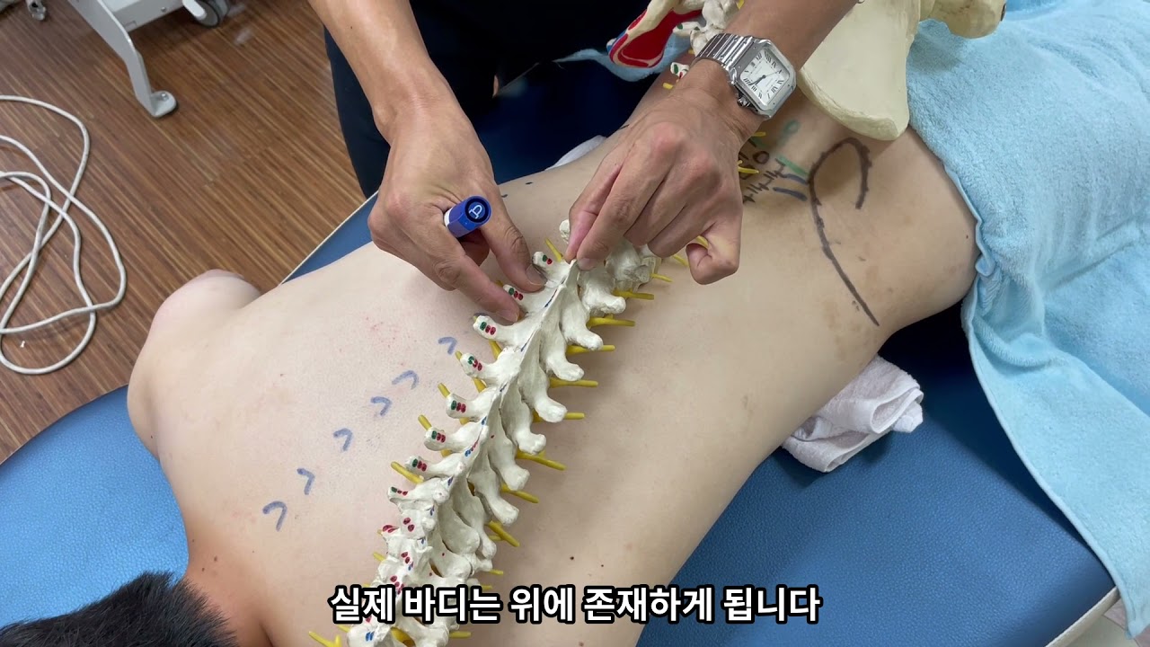 척추 촉진(spine palpation)
