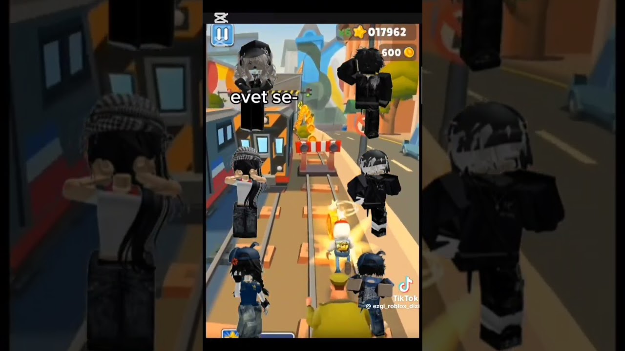 Roblox dizisi hepsi