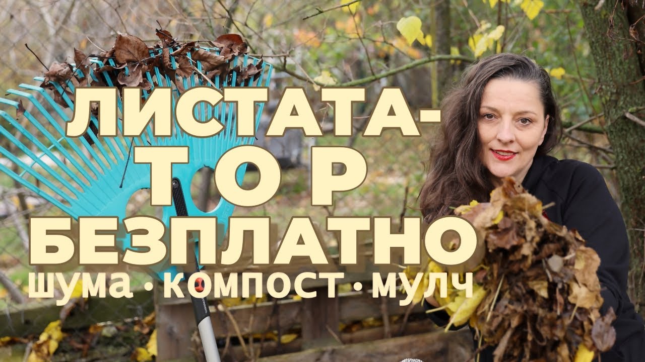 НЕ изхвърляйте и не палете листата! Използвайте шумата в градината разумно!