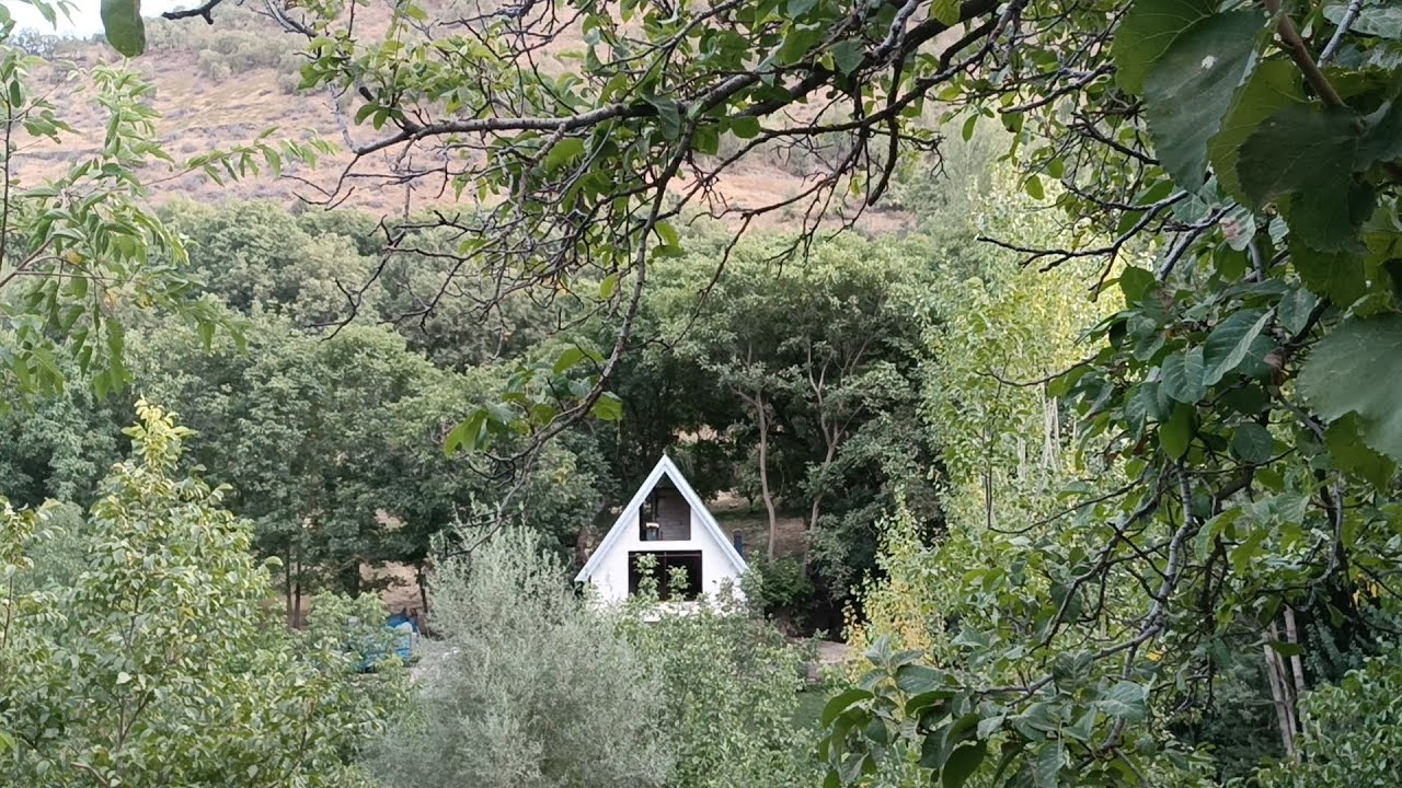 Into the Shadows — A Chilling Forest Hike in Sardasht  
