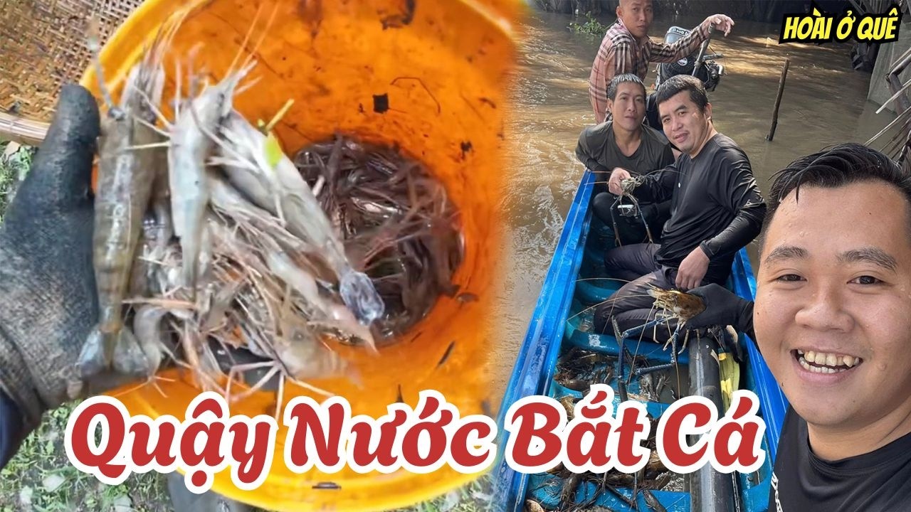 Cái Câu Quậy Đục Nước Chắc Bắt Nguồn Từ Đây Quá | Hoài ở quê