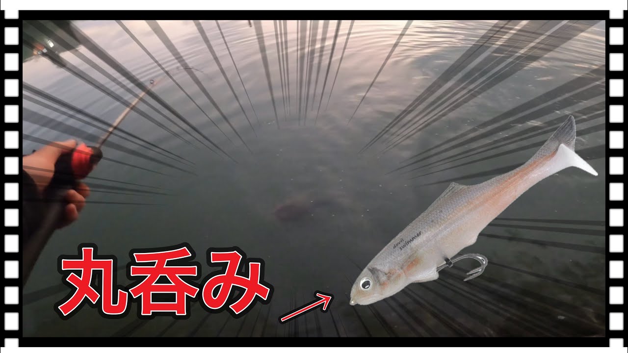 スイムベイトを丸呑みするオバケマゴチ！