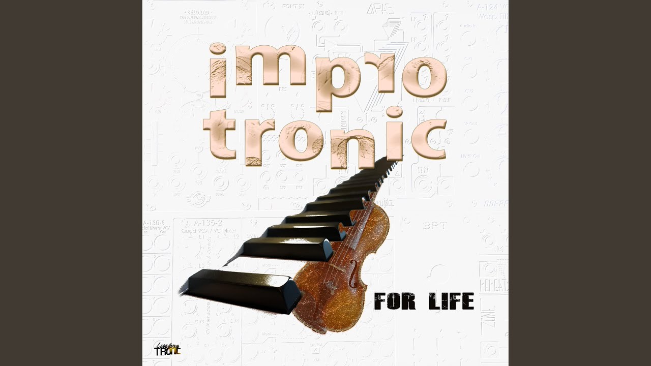 NEW MUSIC EXPERIENCE