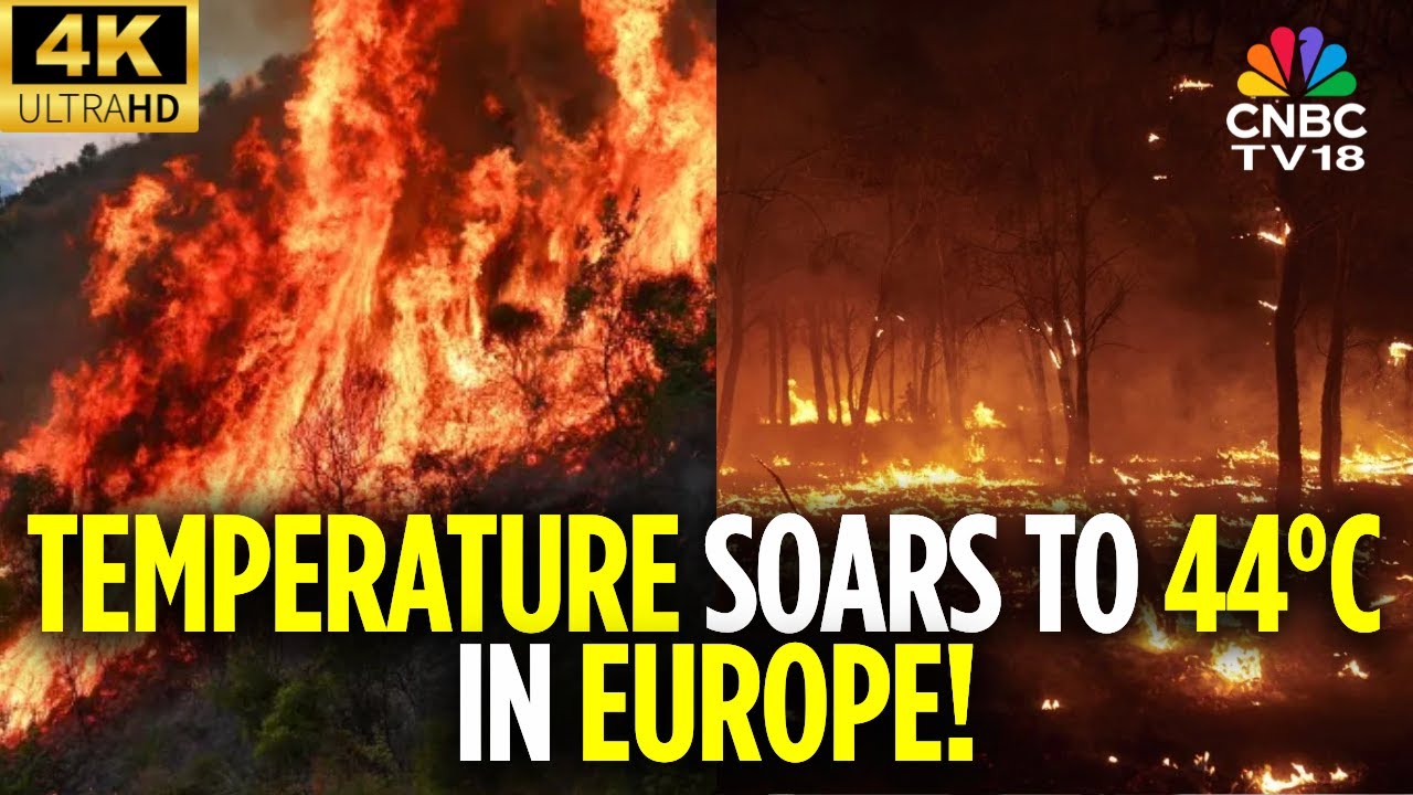 Three Dead, Thousands Evacuated As Deadly Wildfires Sweep Across South Europe | Europe News | N18G