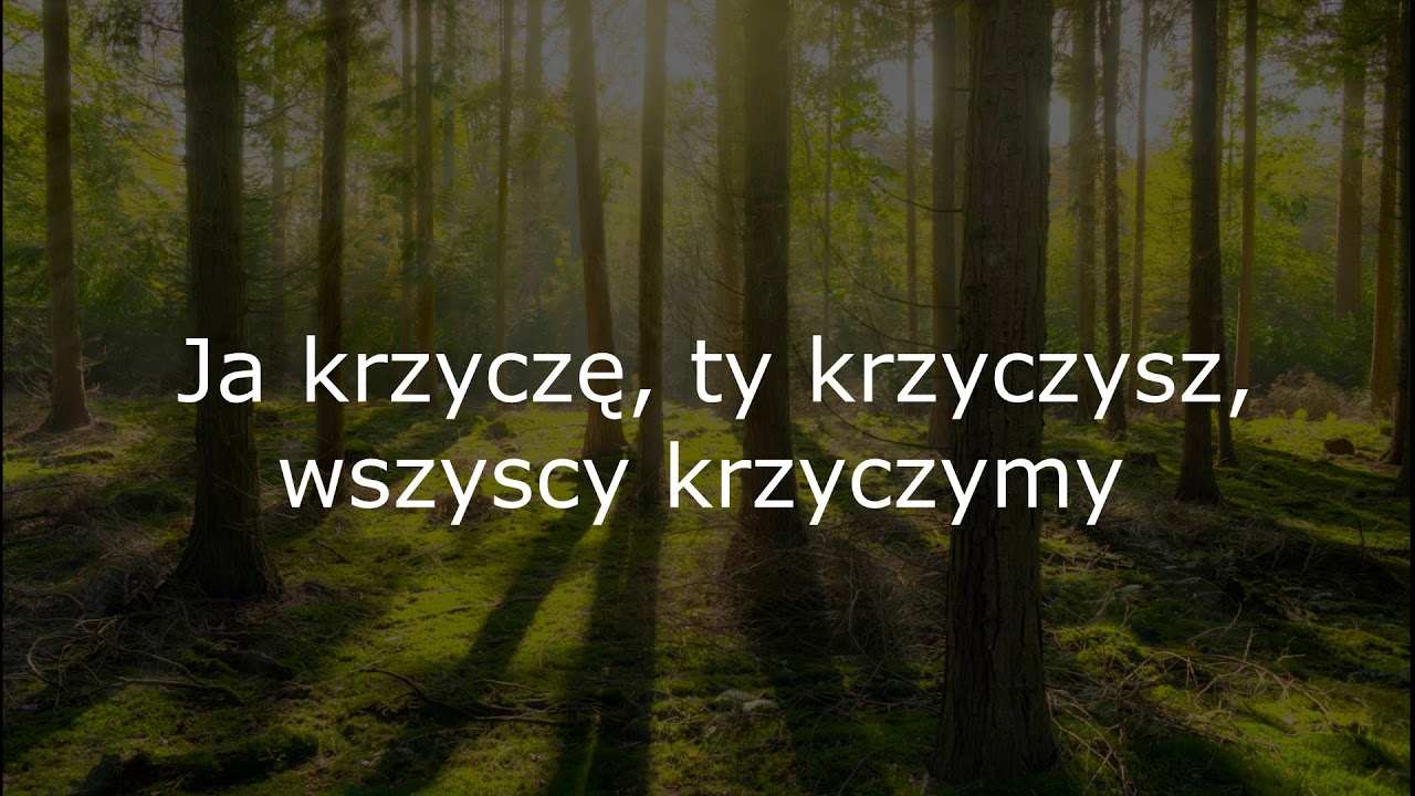 Forest (Las) - Tłumaczenie utworu Twenty One Pilots