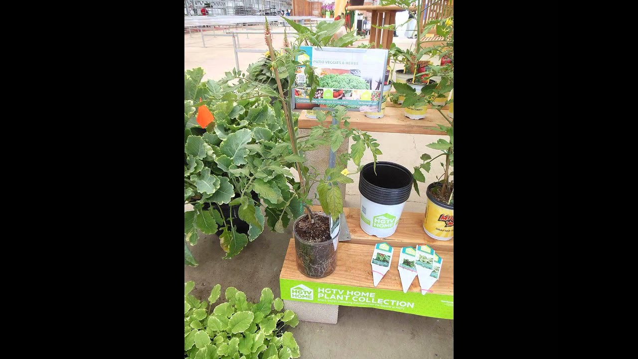 Exciting New Plants Entering the Pipeline (May 12, 2015)