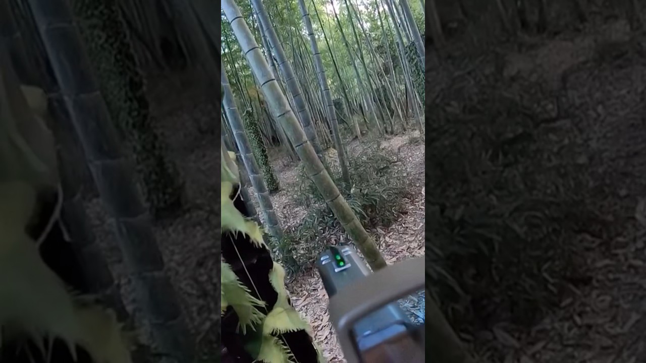 #airsoft
