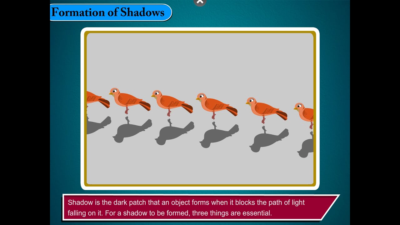 Formation of Shadows | Science Class 4