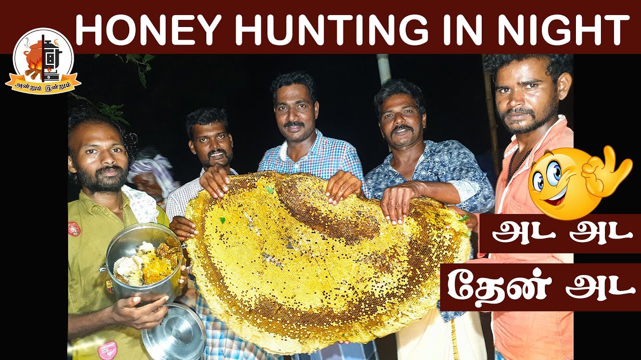 Amazing Honey Hunting | Primitive Technology | Village Tribes | Mams Krishnan