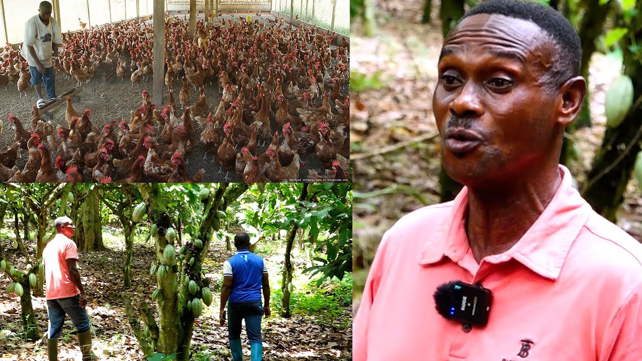 I LEFT GERMANY TO DO POULTRY, COCOA & CUTFISH FARMING IN GHANA