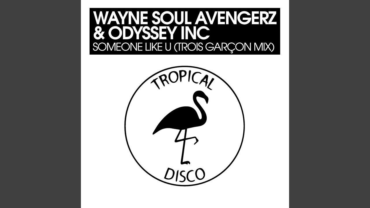 Someone Like You (Trois Garçon Mix)