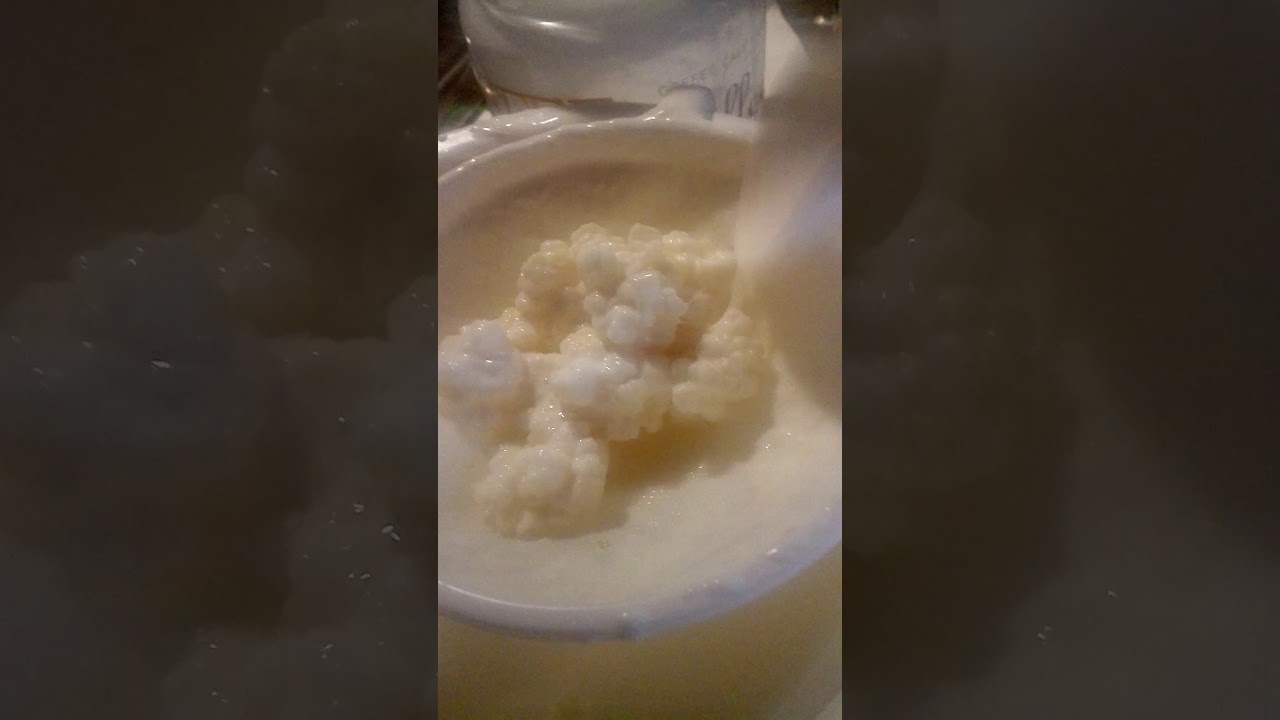 Perché è importante che i grani crescano