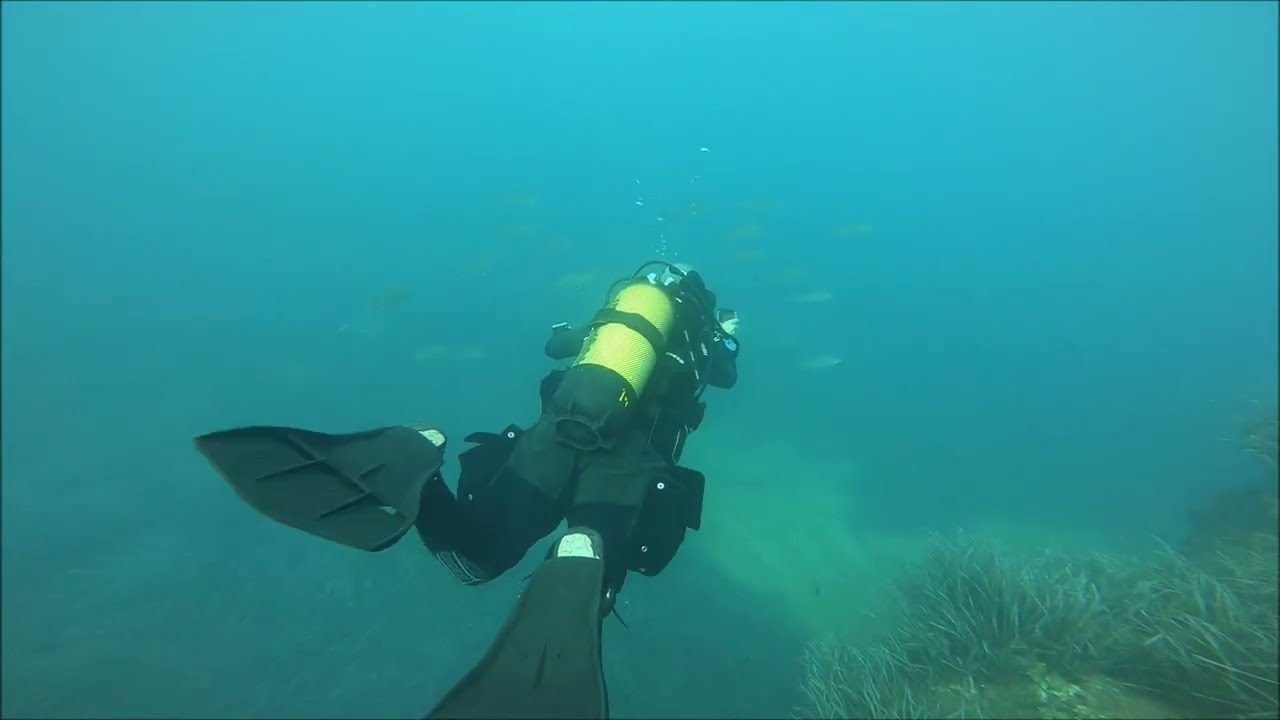 Buceo en Isla Plana