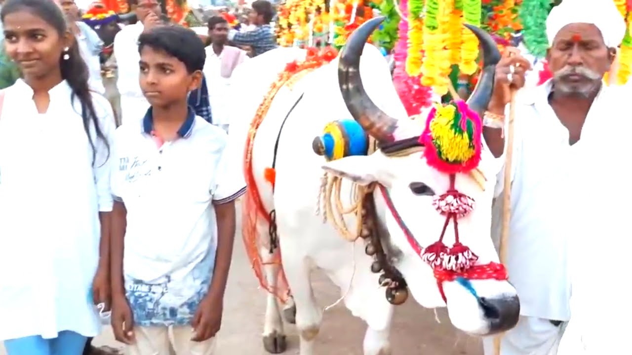 Edupayala Jatara 2020 | Edla Bandi Uregimpu Utsavam at Edupayala jathara