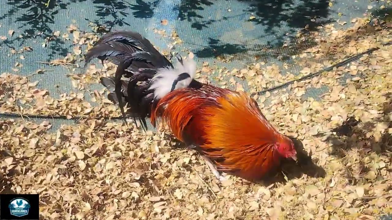 Territorio Huracanes Rancho La Palma Guadalajara Jalisco 