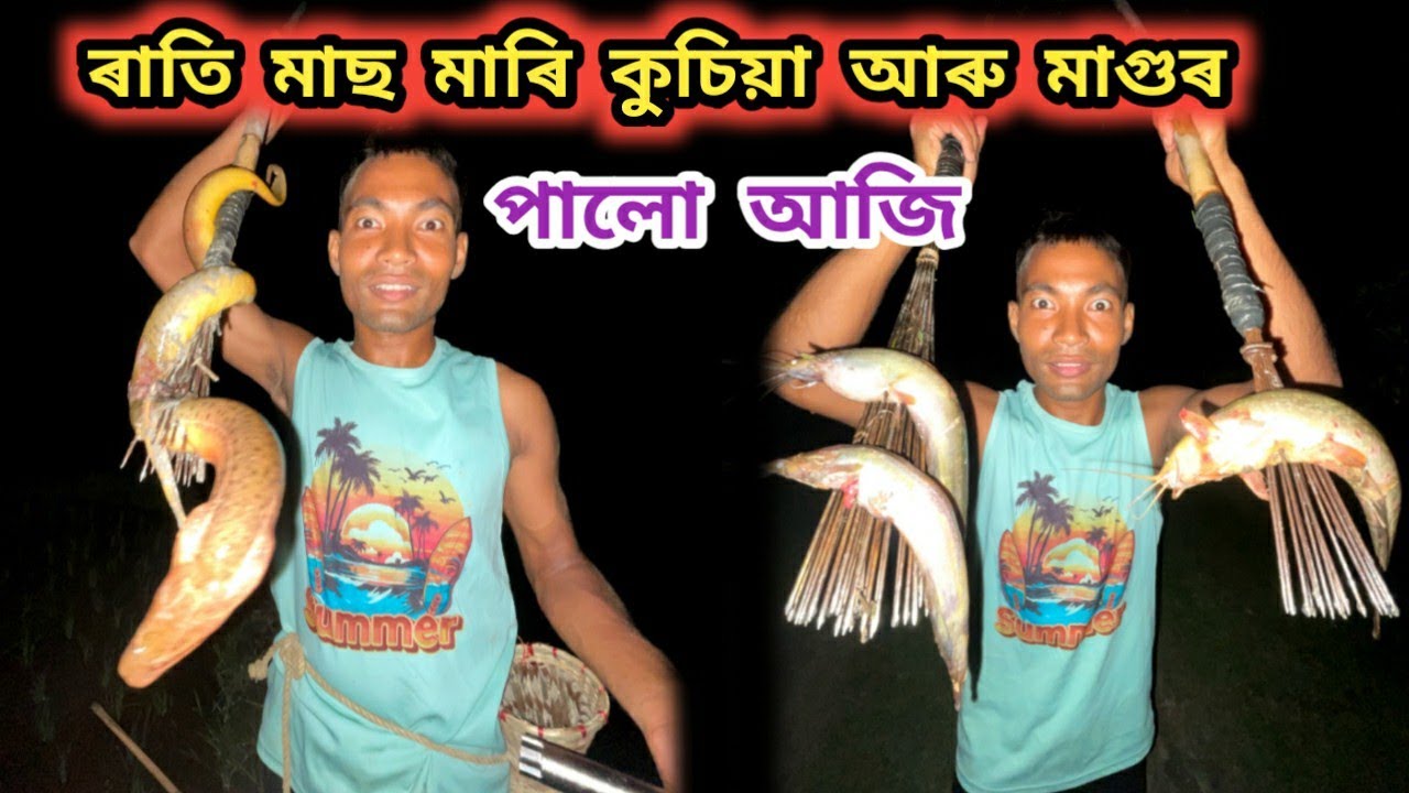 ৰাতি মাছ মাৰি পালো কুচিয়া আৰু মাগুৰ পালো আজি !!