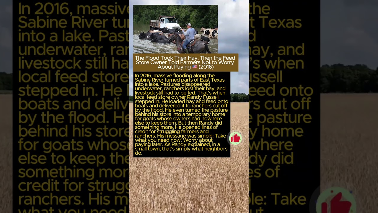 The Flood Took Their Hay. Then the Feed Store Owner Told Farmers Not to Worry About Paying 🇺🇸 (2016)