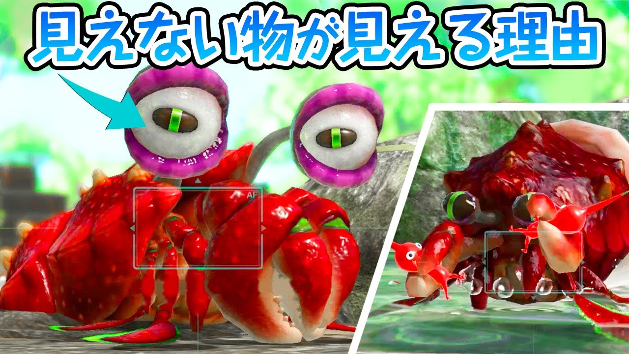 ピクミンの中ボスには人類には見えないものが見えているらしい…【原生生物進化の歴史】