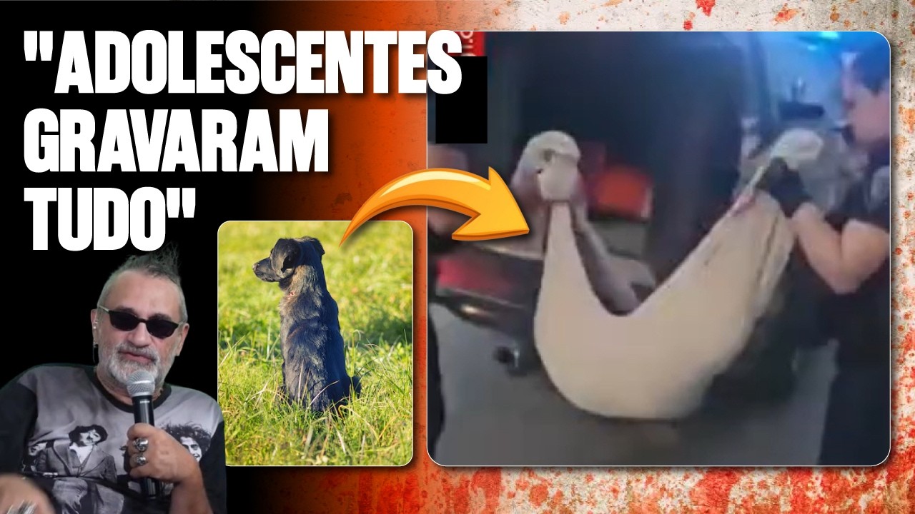 HISTÓRIA COMPLETA: CÃO É JOGADO DA JANELA DE PRÉDIO EM SANTA CATARINA