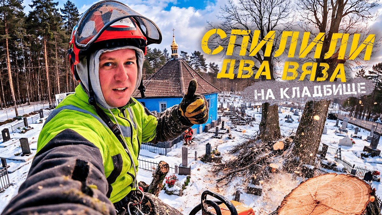 Удаление деревьев на кладбище | Спилили два огромных вяза