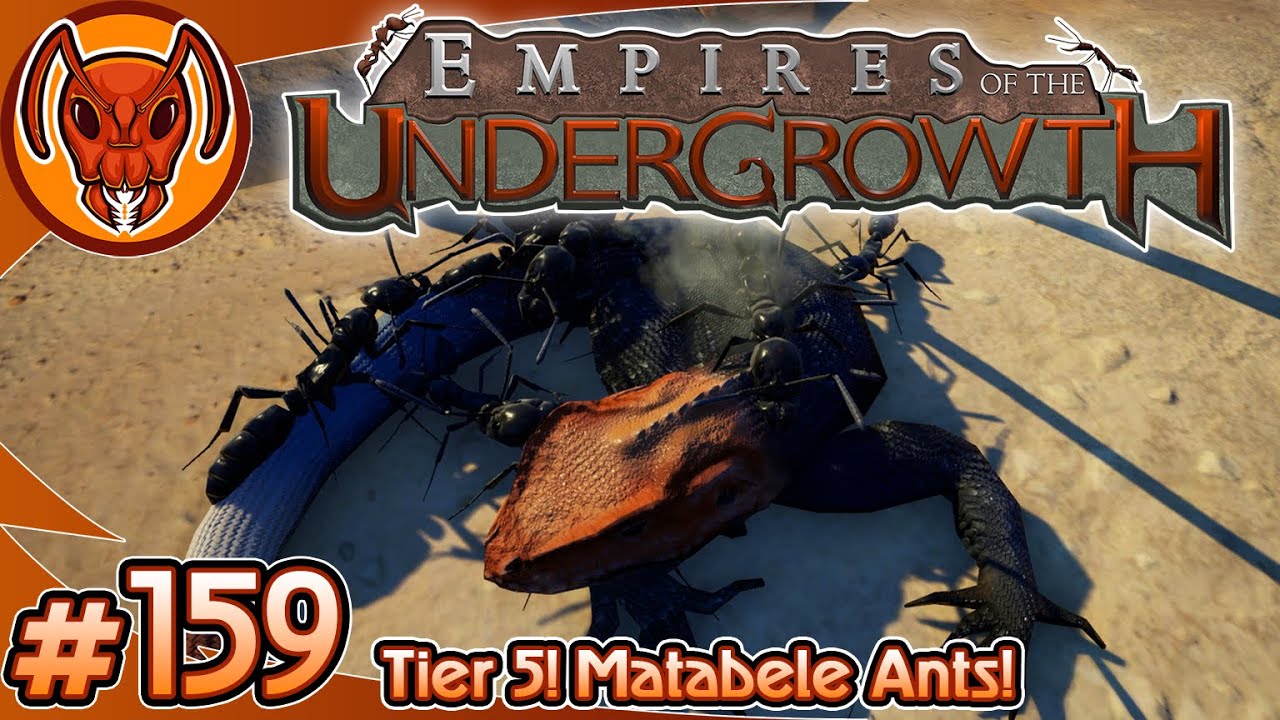 Tier 5 Matabele Ants! Version 1.0 LET'S GOOOOOOOO! | Empires of the Undergrowth - Part 159
