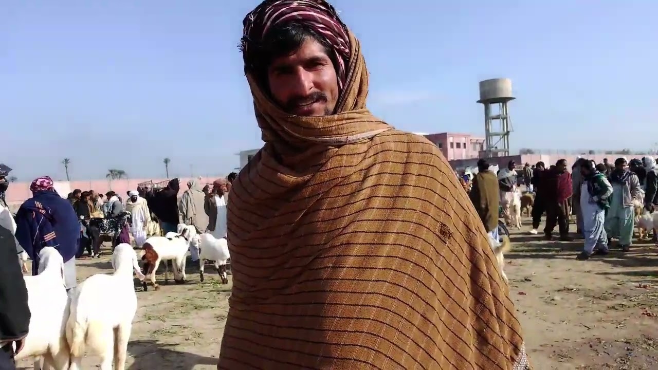 24 January 2026 Dera ghazi Khan mandi hafte ka din