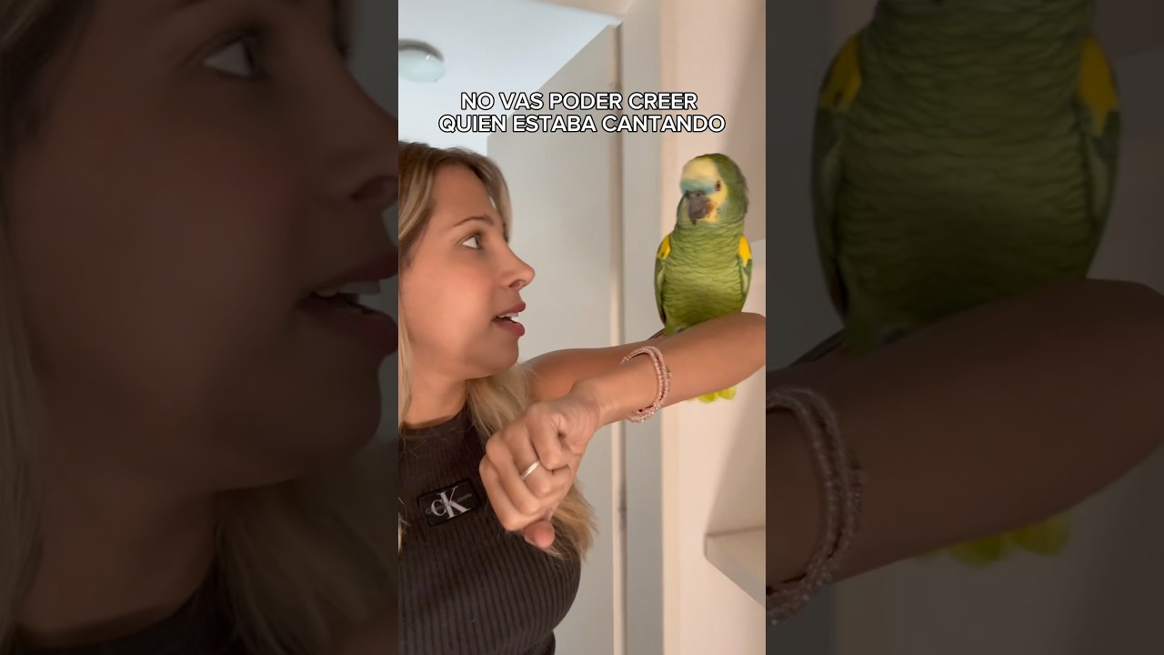 Muy flashero #viralvideo #shortvideo #loro #animal #parati #humor #funny #loros