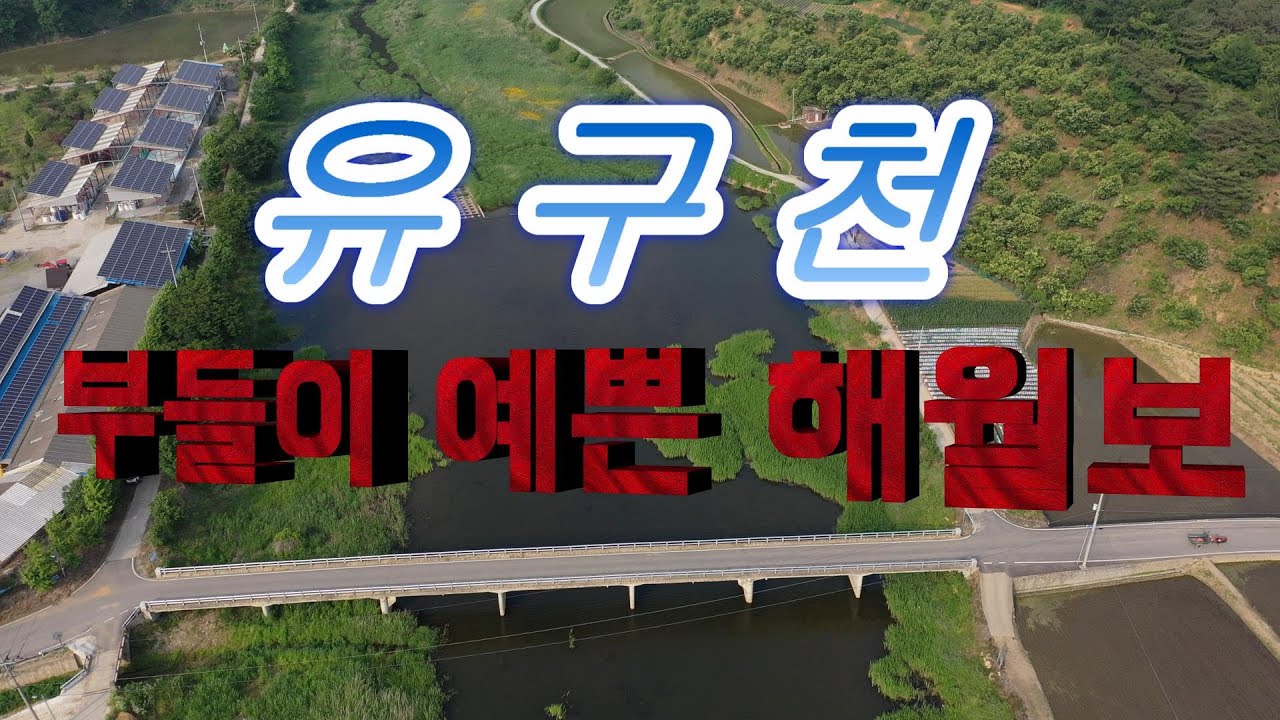 붕어낚시 & 대물낚시 부들밭포인트 유구천 해월보!!