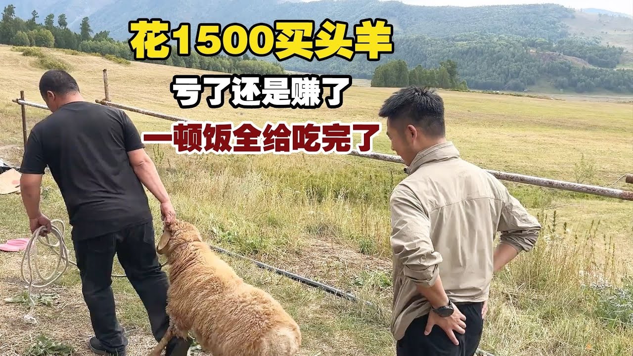100多斤的羊，一顿饭全给吃完了？这得有多好吃？【小白的奇幻旅行】
