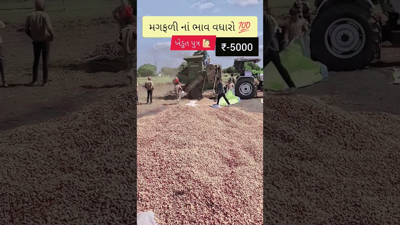 ખેડુતભાઈ ભાવવધારો #gujjuloveguru #gujju #comedy #funny #funny #gujjurocks #viral #gujarati #love