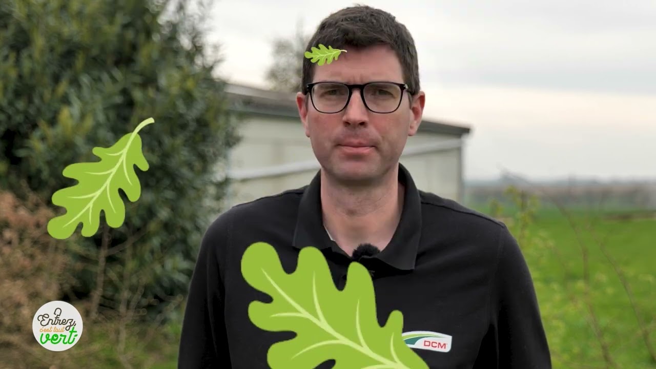 Comment préparer votre jardin en début de saison ?