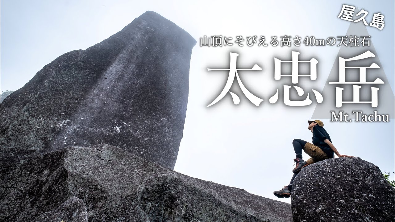 【屋久島登山】太忠岳｜山頂にそびえる高さ40mの天柱石