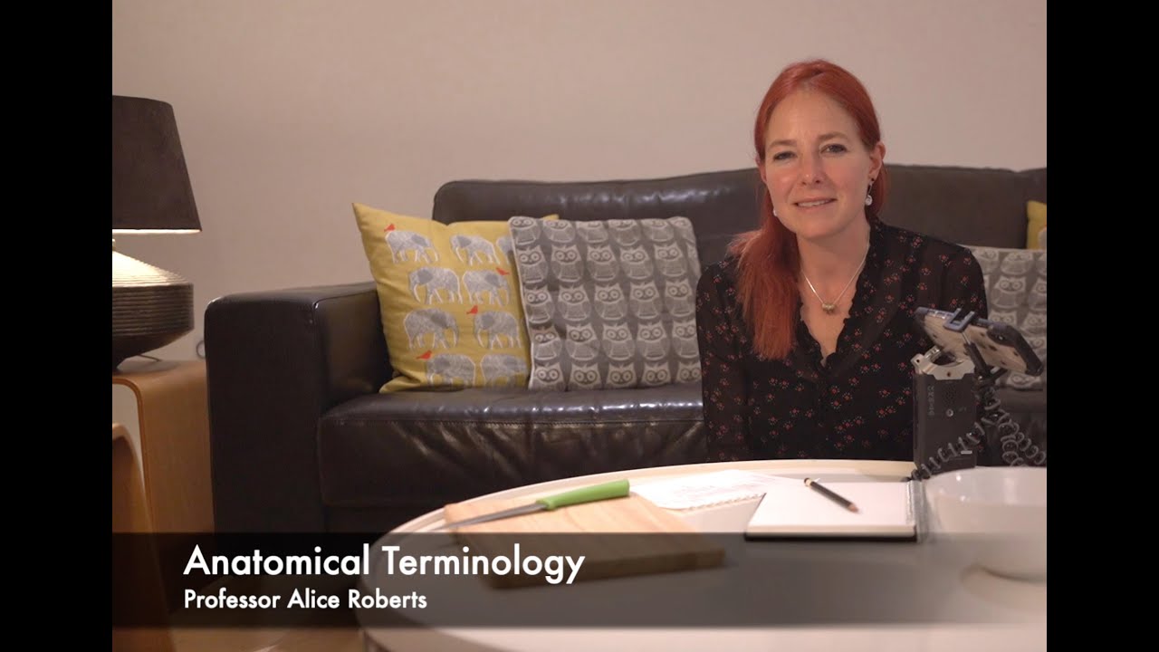 An introduction to anatomical terminology - with jelly babies