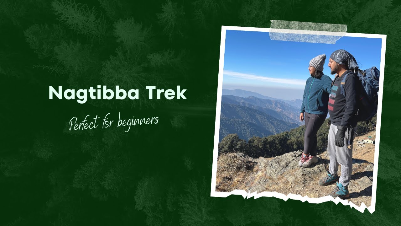Nag Tibba Trek (Perfect for beginners) #trekking #uttarakhand #uttrakhandtravel