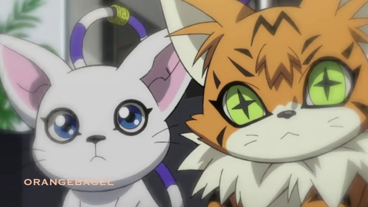 Meicoomon【Uraomote Crossroad】AMV