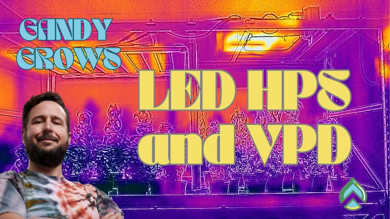 HPS LED или гибрид? Что это значит для вашего VPD?
