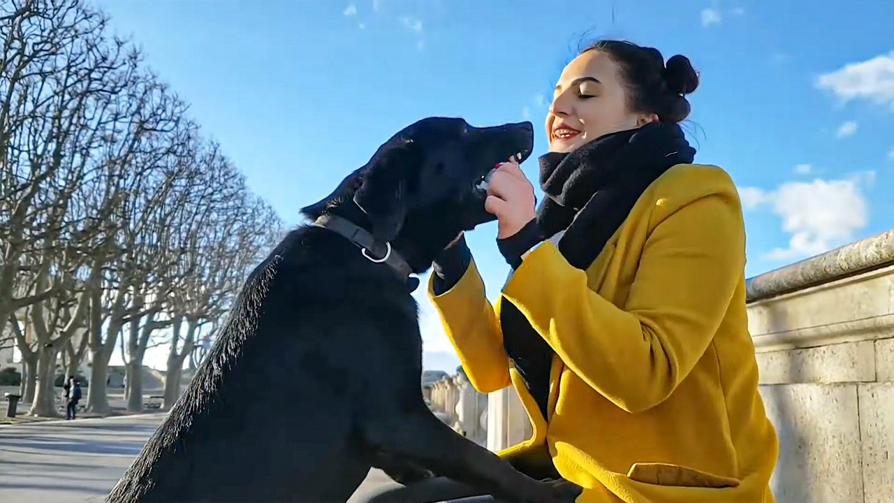 Pensions d'animaux vs. petsitters : la bataille est lanc&eacute;e