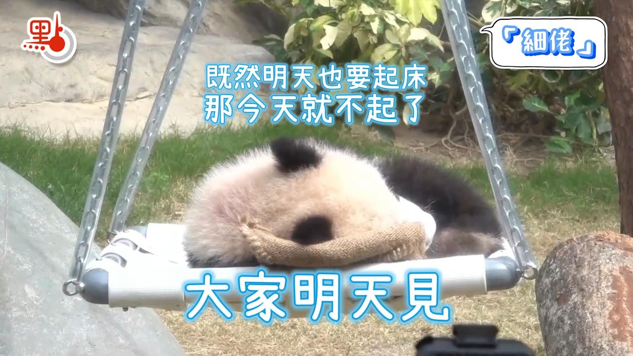 搶先看！「全程睡覺」仍全港矚目？半歲龍鳳胎「頂流」約定你明天見！