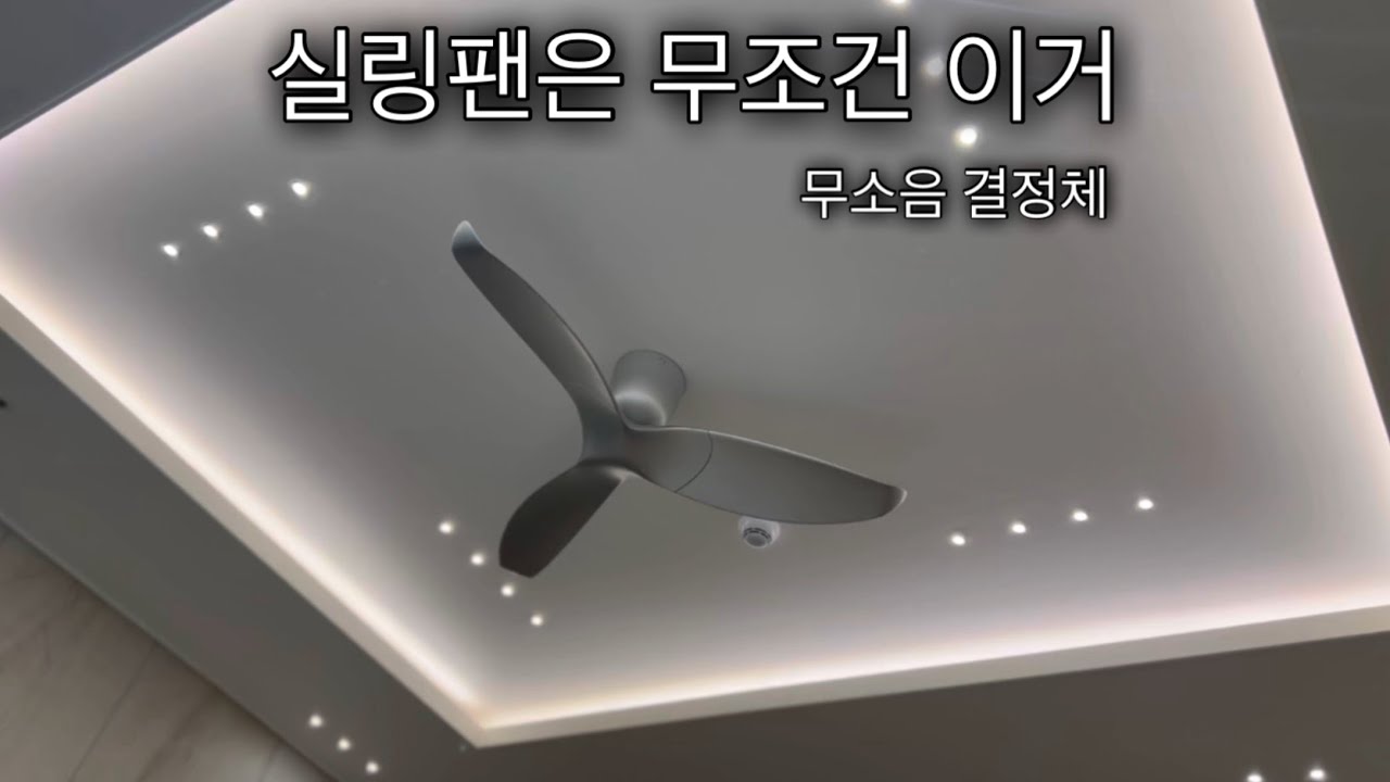실링팬 에어라트론 AE3+50 실버색상 무소음 결정체(꼬똥드툴레아)