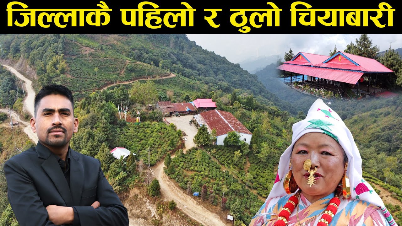 डाॅडै किनेर चिया सहित बिभिन्न खेती गरिरहेकी बिना कुमारी सुब्बा - Matribhumi tea state & Home stay