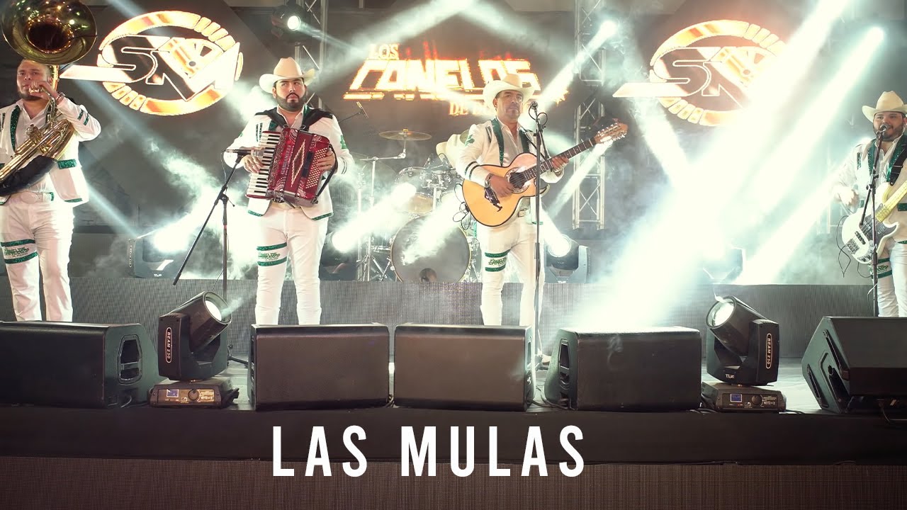 Los Canelos de Durango - Las Mulas (2022  Con Tuba)